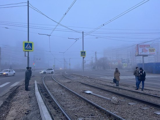     Фото: Елена Кокорина