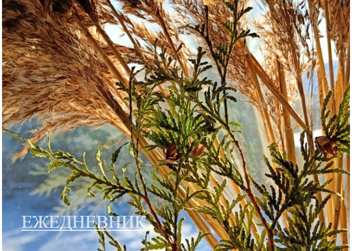 Ежедневник