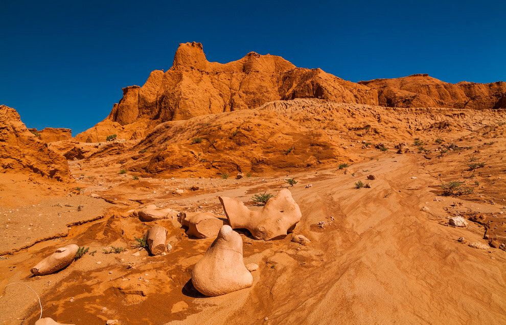 О динозаврах Гоби | Клуб путешественников «Ветер свободы» | Дзен