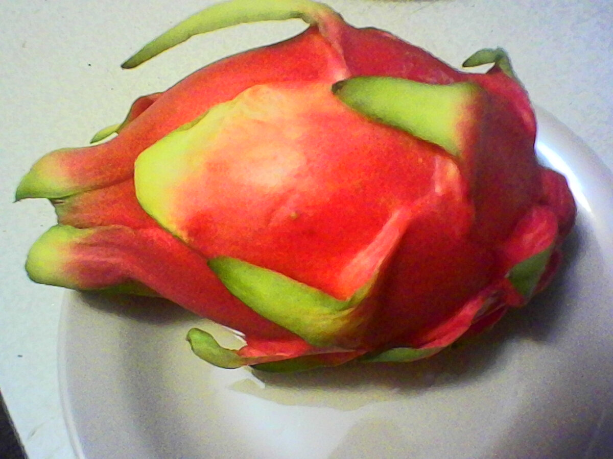 Коллекция настоек " Ашановская" (фото автора).