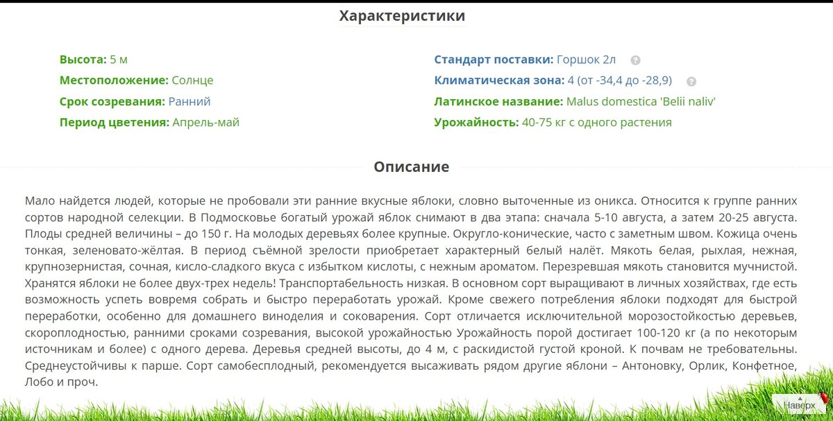 Вот такое скудное описание сорта на сайте одного из интернет-магазинов