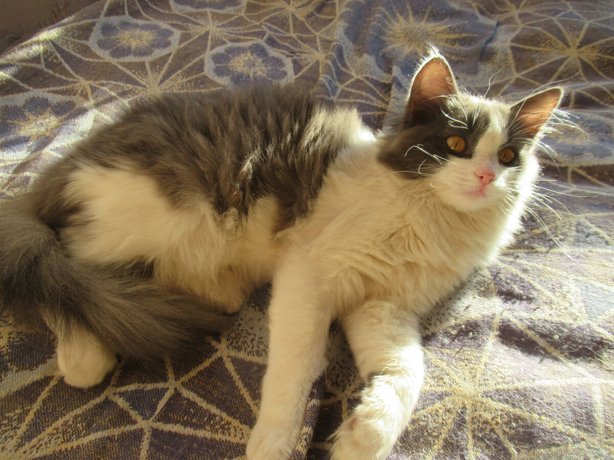 наш солнечный зайчик перед болезнью