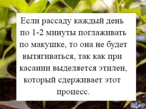 Источник мною засекречен). 