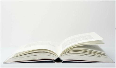 полноценная настольная книга для каждого блогера