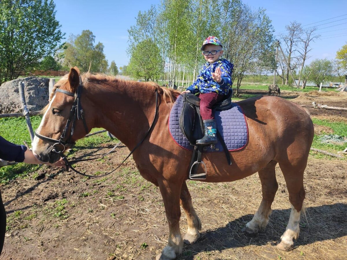 Роман на коне 