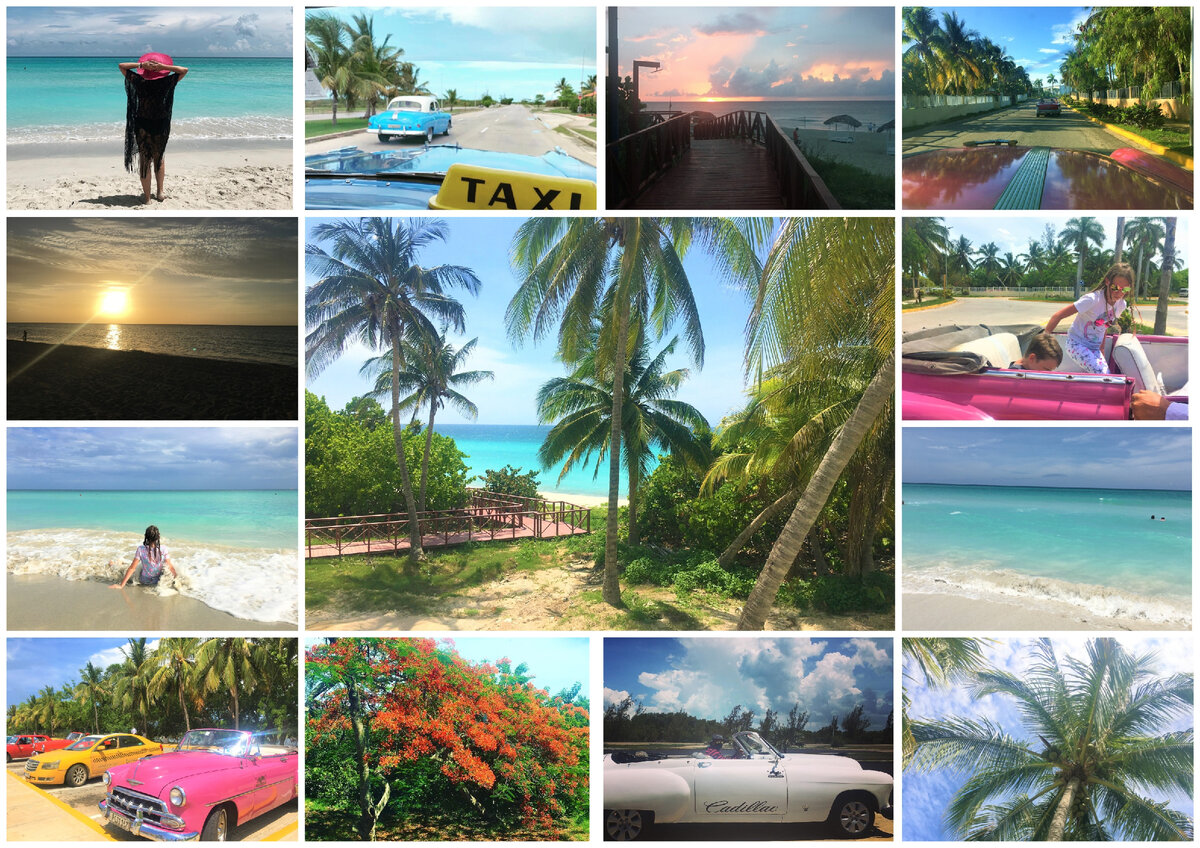 Коллаж из фото автора