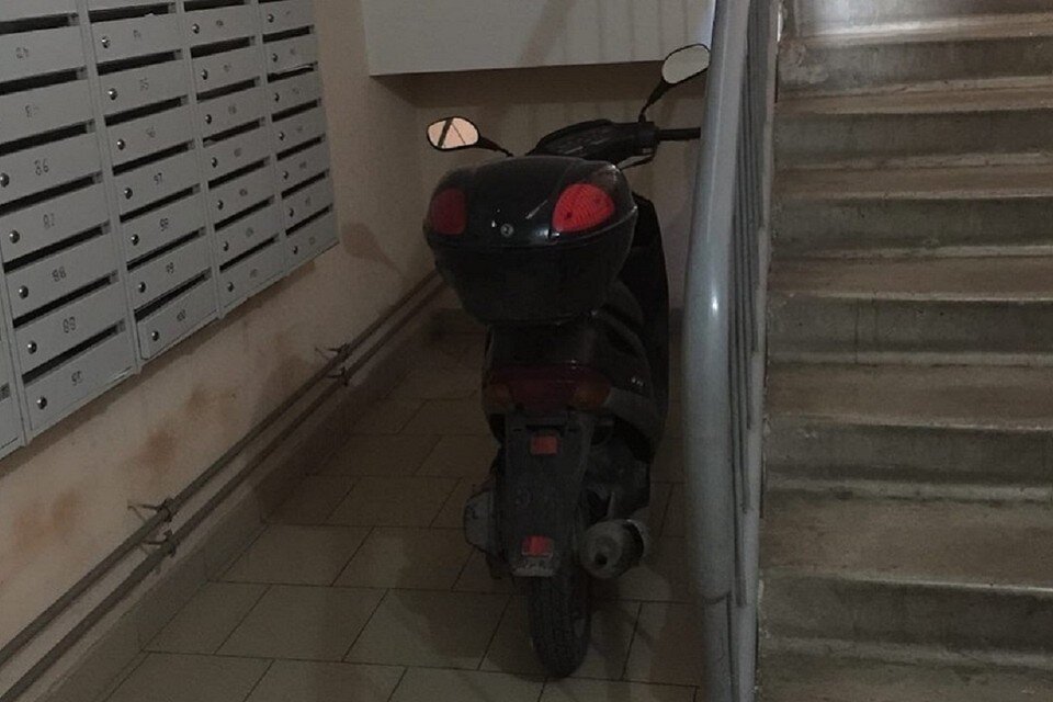 фото с сайта https://www.nsk.kp.ru/online/news/3918304/