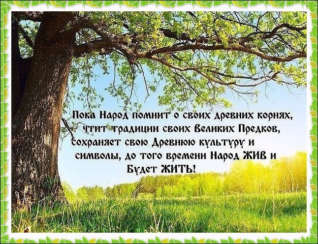 Картинка из просторов интернета, находящаяся в открытом доступе.