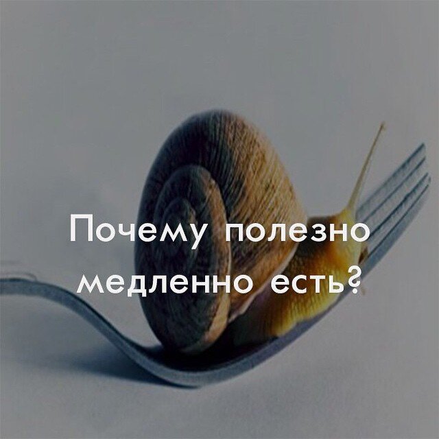 Условия жизни, особенно в мегаполисе, предполагают постоянную спешку и возможности, которые нужно как можно быстрее реализовать. Быстрота выполнения заданий и пунктуальность, уважаемые умения, но когда они подкрепляются неправильным питанием, то вскоре Вам вынужденно придется поубавить импульсивность.