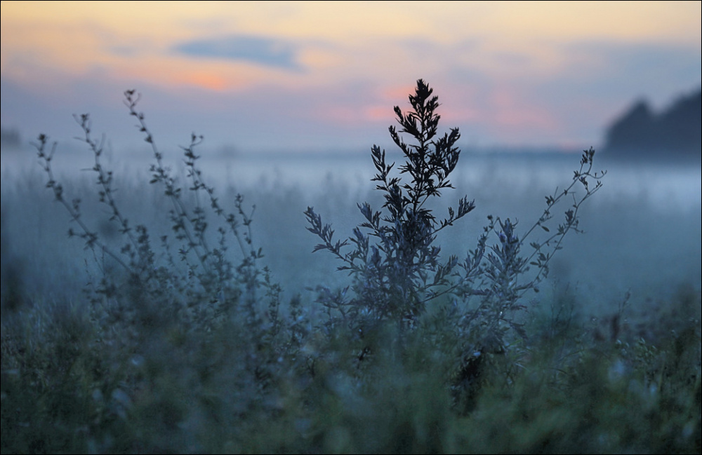 иллюстрация из открытых источников
