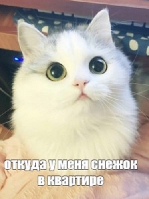 Целый сугроб!