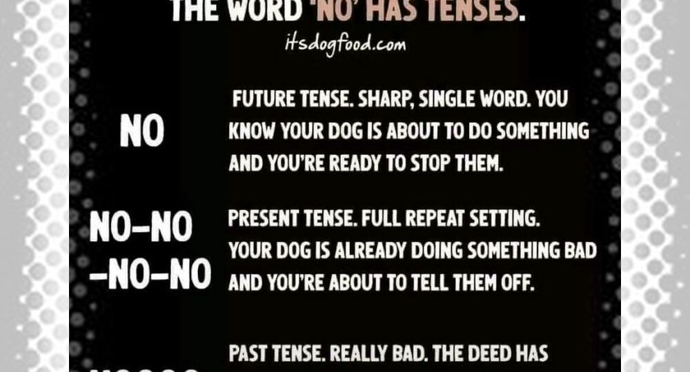 Лингво-приколы. Про собак и слово «нет»