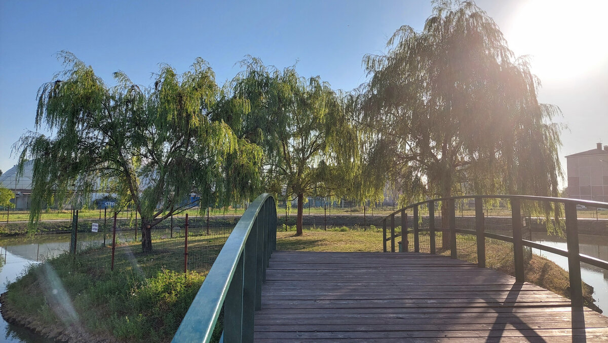 Oxford Advanced Learner's Dictionary определяет shade как an area that is dark and cool under or behind something, for example, a tree or building, because the sun’s light does not get to it. 