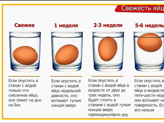 Почему всплывают перепелиные яйца?