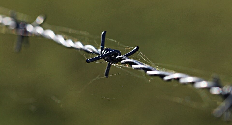 Фото: pixabay.com