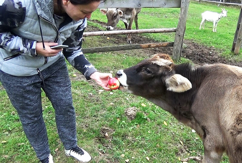 Дедушкина ферма