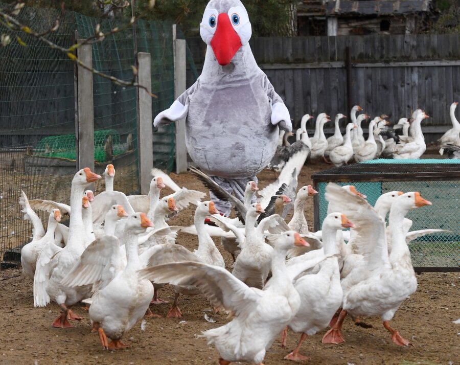 Фото: © РИА Новости/Владимир Вяткин