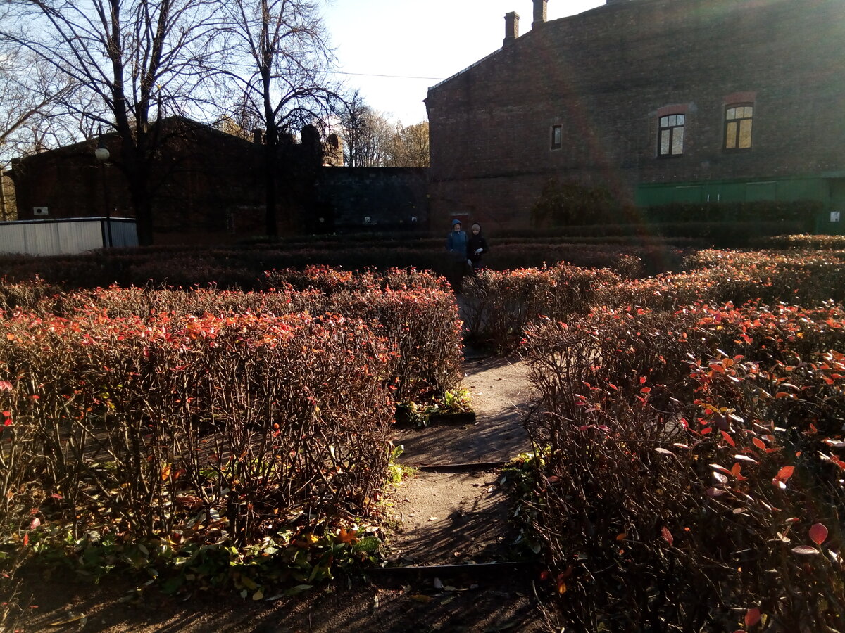 2021 год, СПб, лабиринт