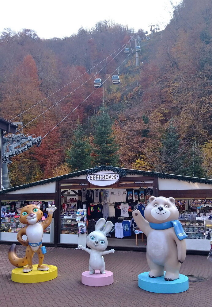 звери напутствуют