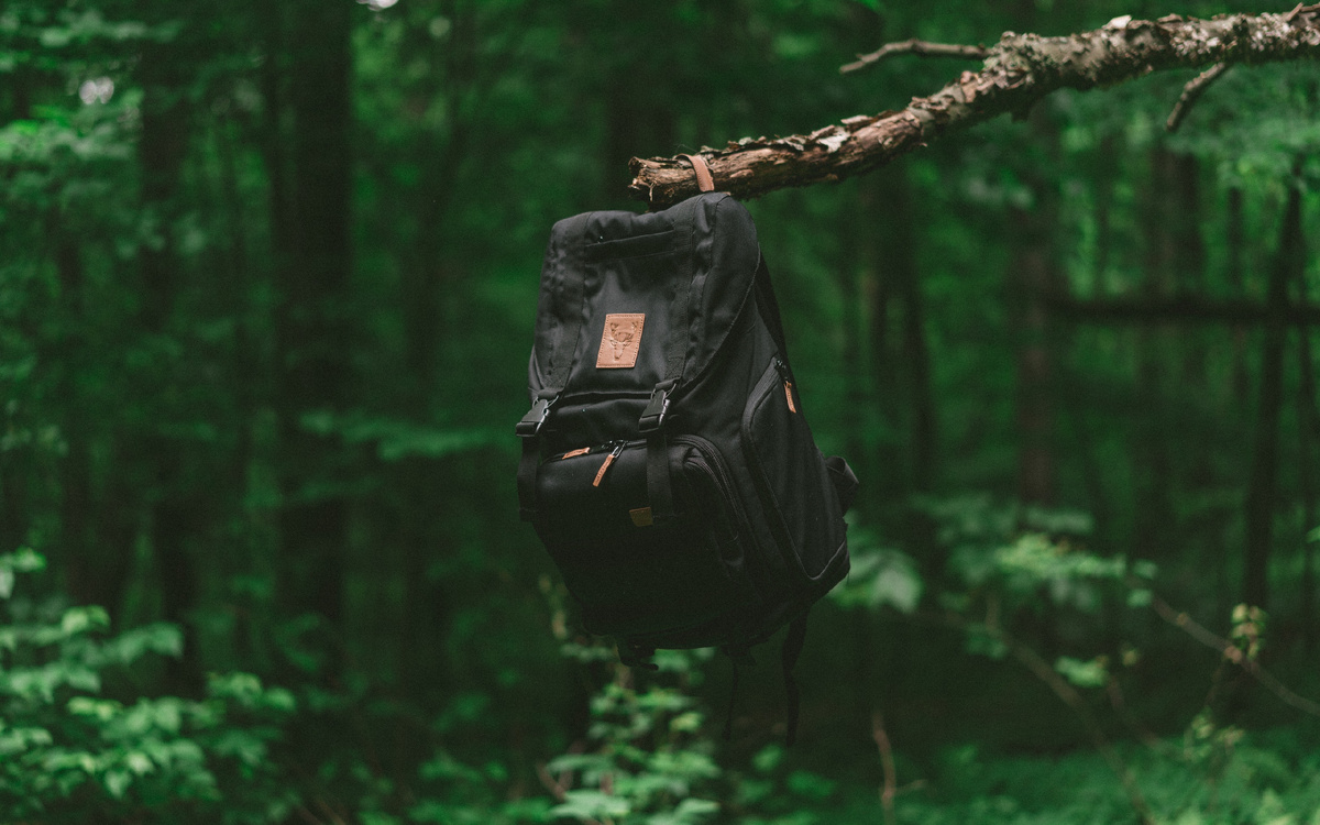 Изображение: cutewallpaper.org