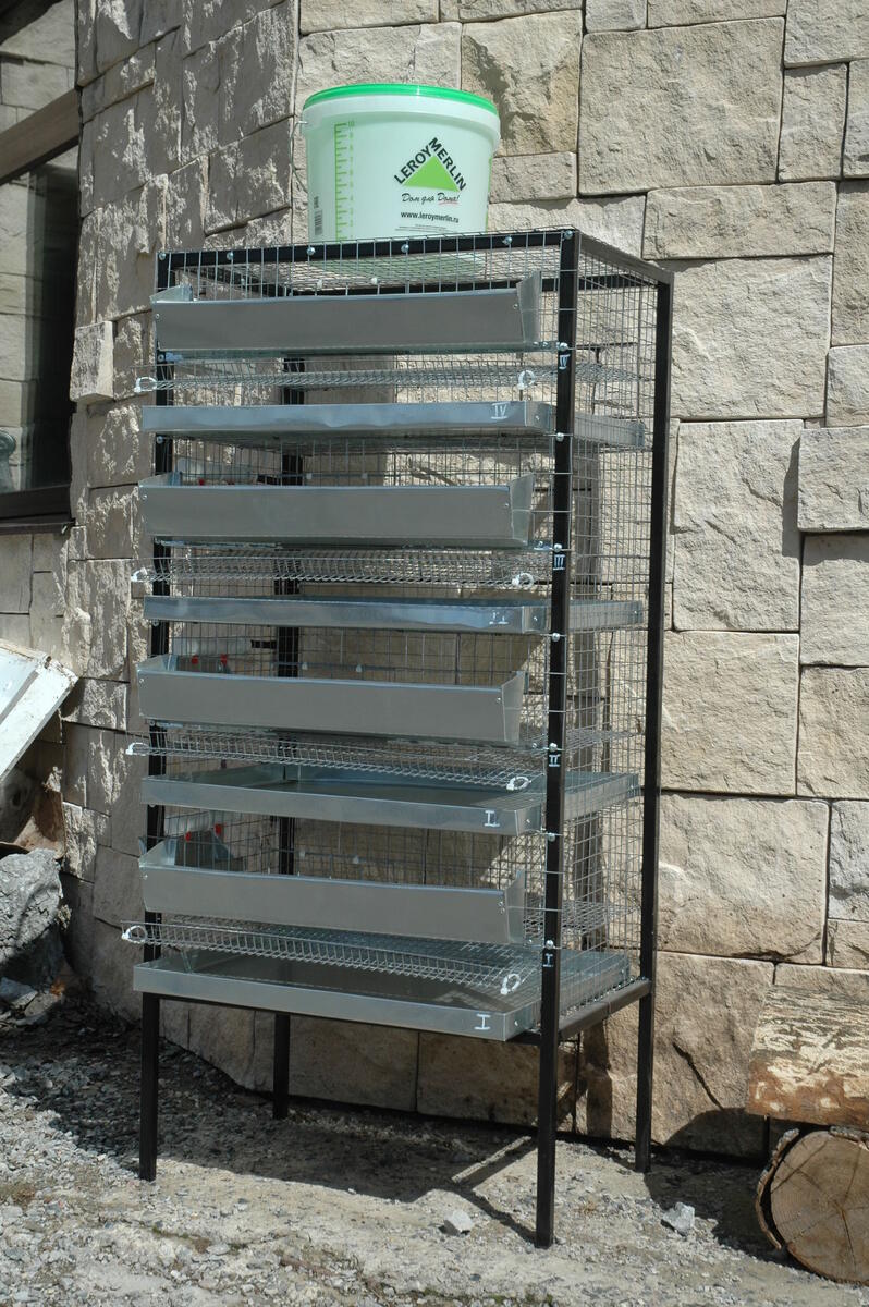 Клетка для перепелов, производство "Вельяминовские перепела"