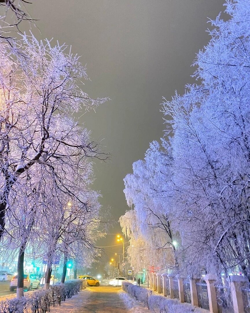 красота