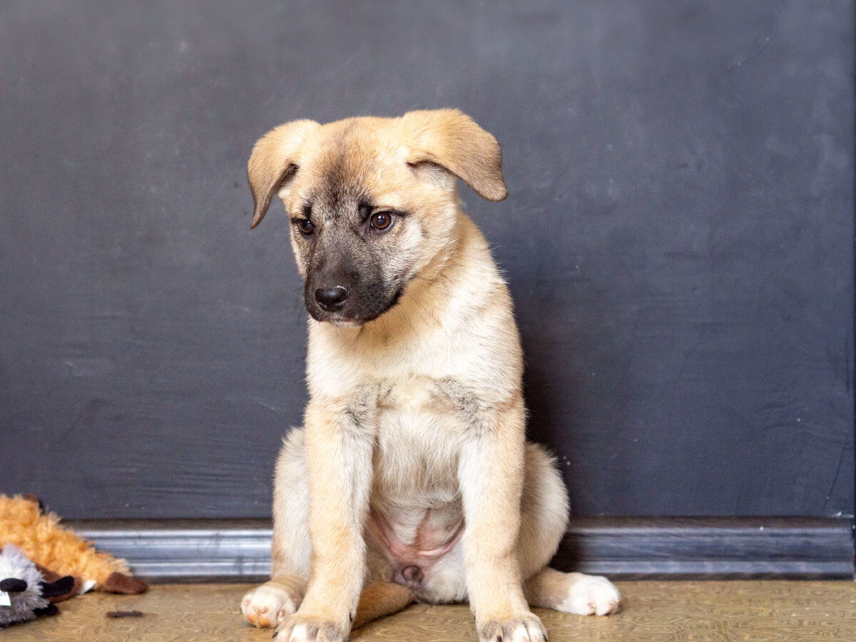 "Я Рада, Я пришла в этот мир, чтобы дарить любовь!". Все это правда, все про Раду.