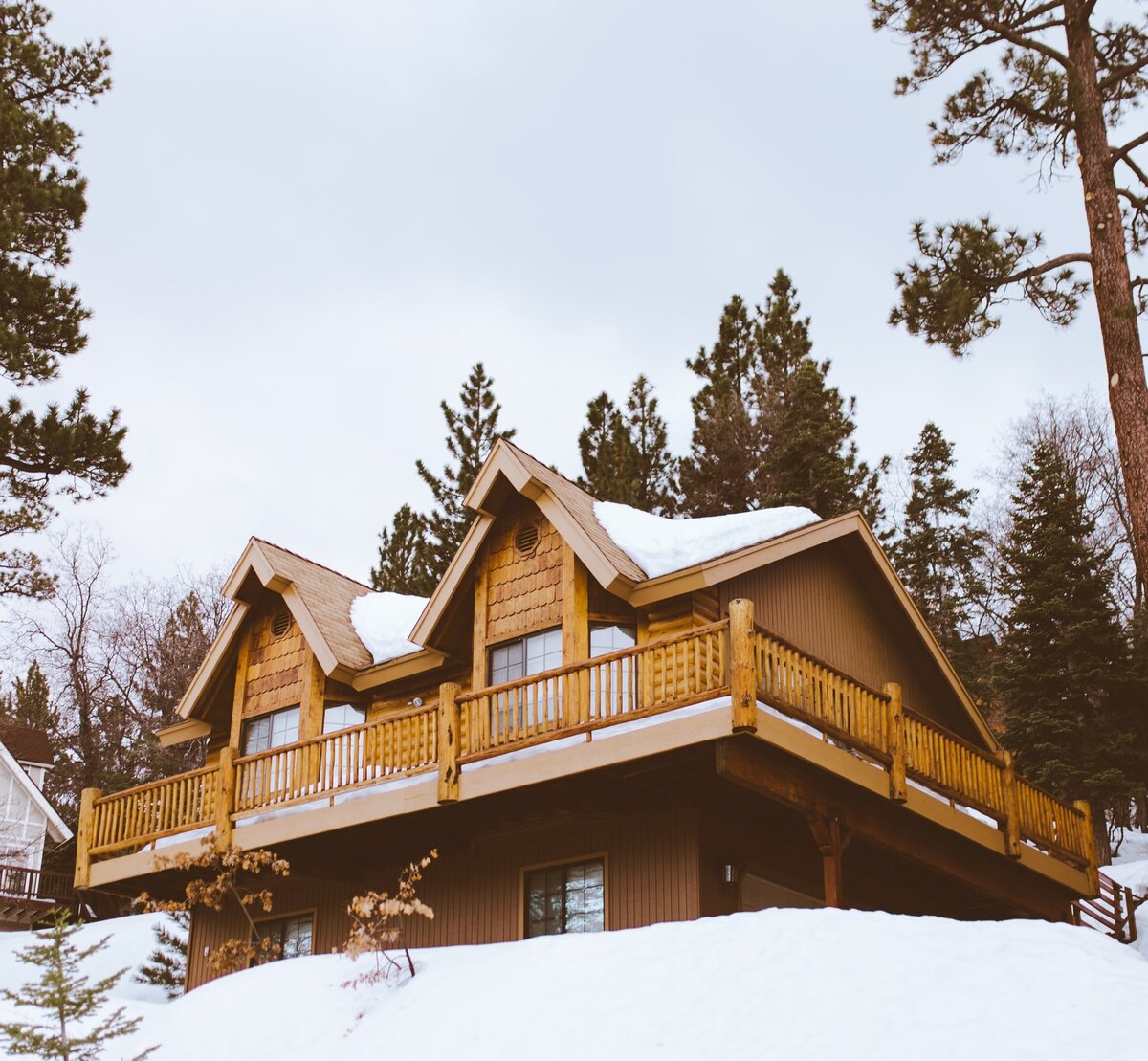 Photo by Clarisse Meyer on Unsplash