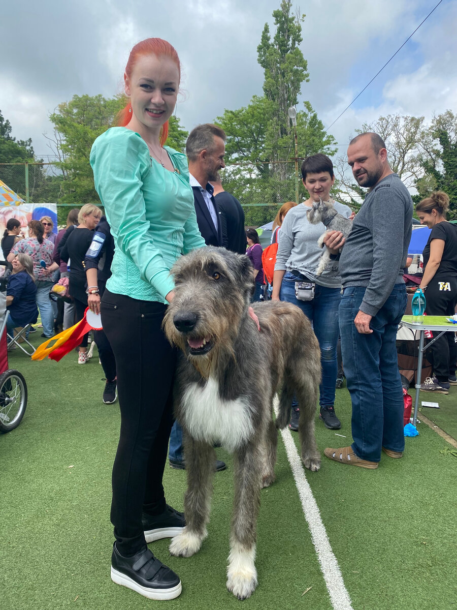 Выставка в Новороссийске, очень жарко от палящего солнца и эмоций