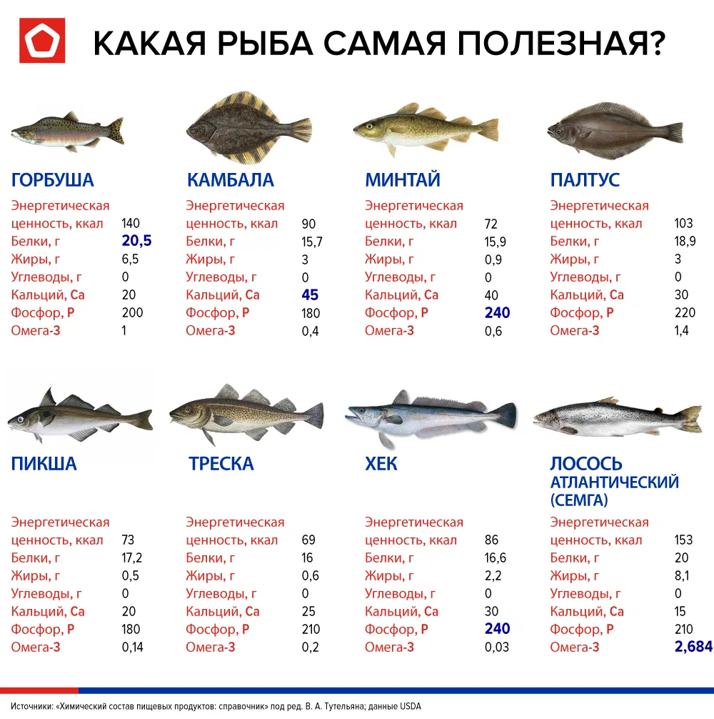 Какие рыбы самые полезные? Речная рыба радиационная? | Ленивый Митя | Дзен