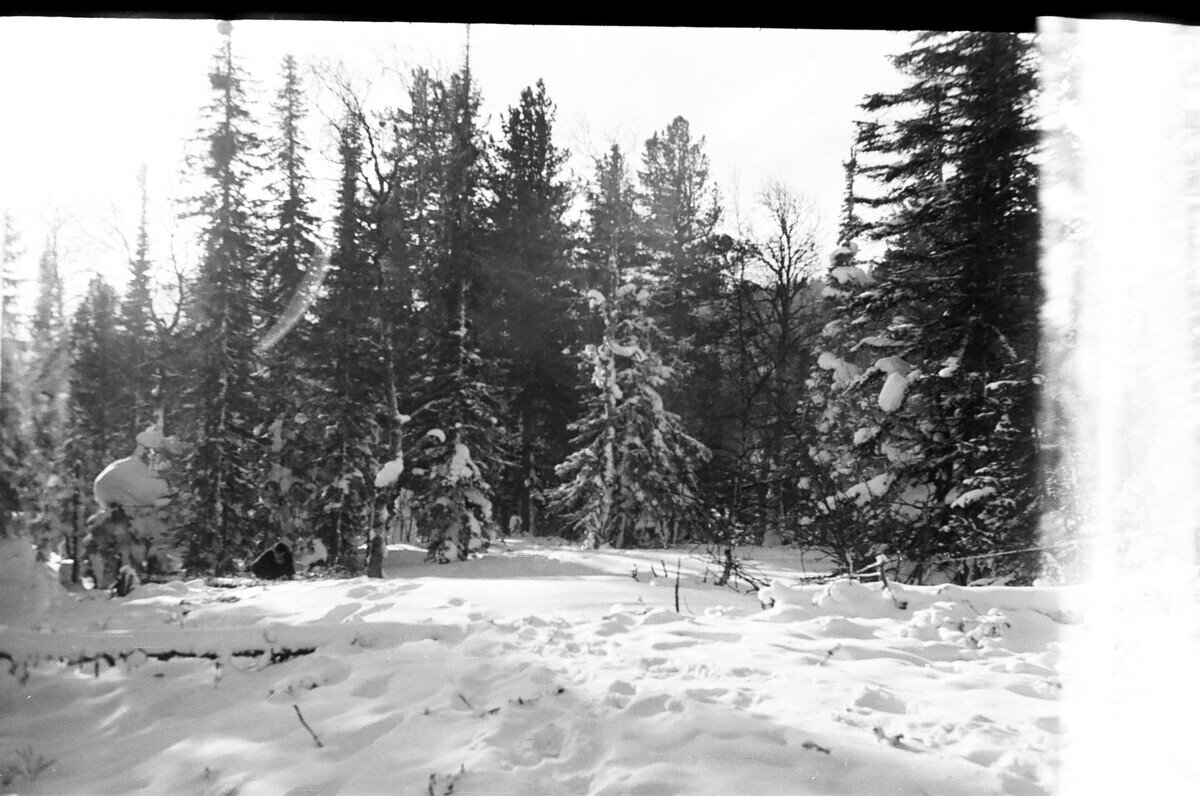Архивное фото с фотоаппарата Ярового, Холатчахль, 1959 год.