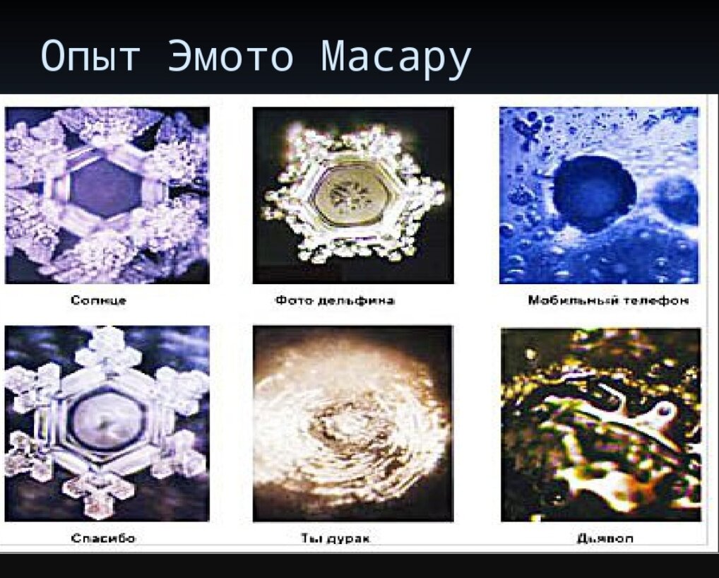 Фото из открытых источников. 