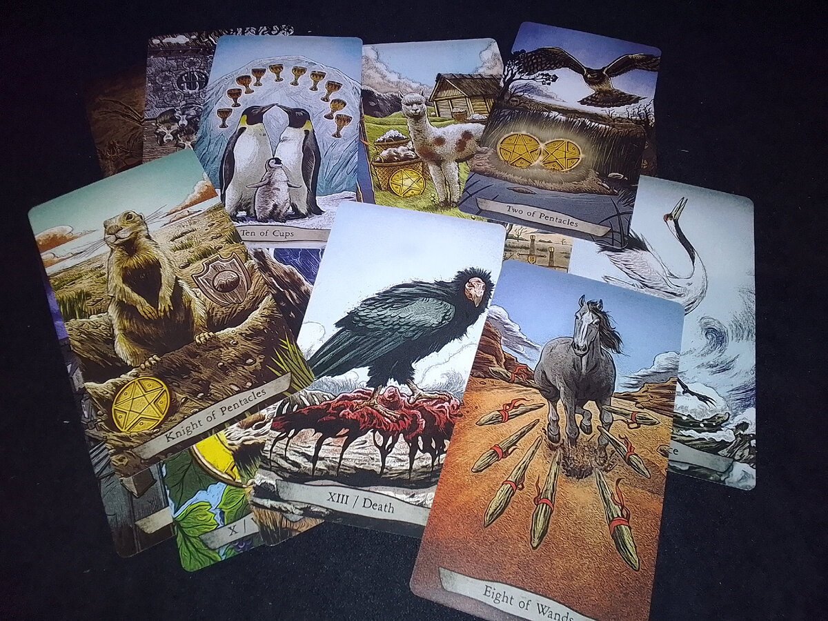 Таро "Животные-тотемы" 