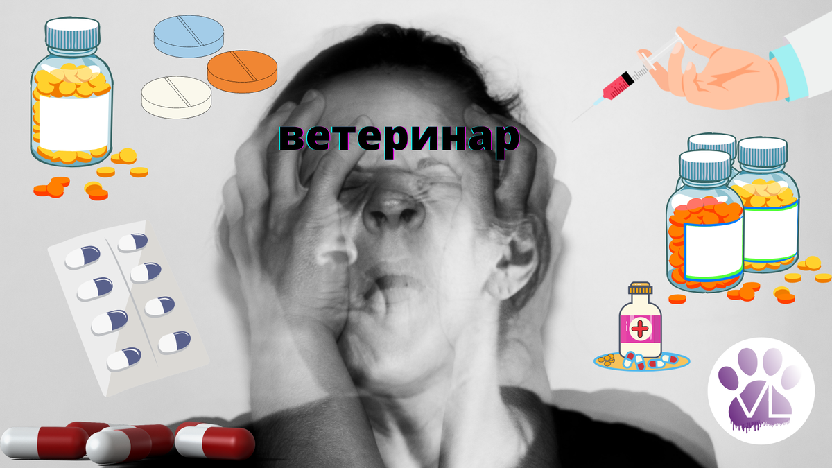 Чем обернулись санкции для ветеринарии в РФ | Ветеринарный диетолог vetLIFE  | Дзен