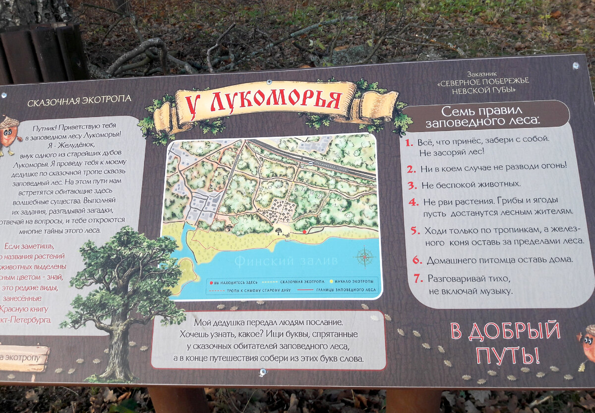 Экотропа лукоморье в лисьем