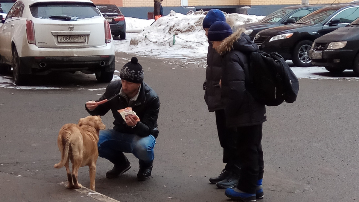 Бывший муж всегда подкармливал всех животных и был готов забрать всех домой