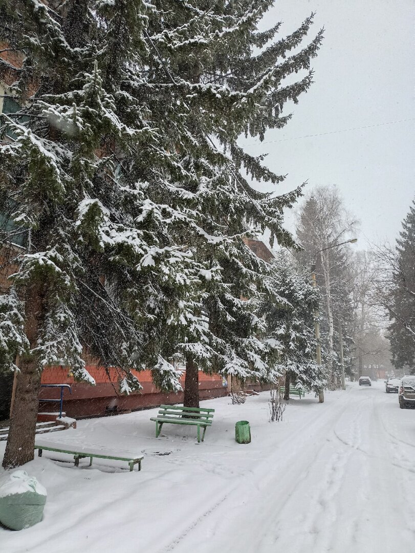 Добавлена 5 апреля. Снег в апреле на Танае. Снегопад в Челябинске в апреле 2014. Снег в апреле книга. Общество снега хроника.