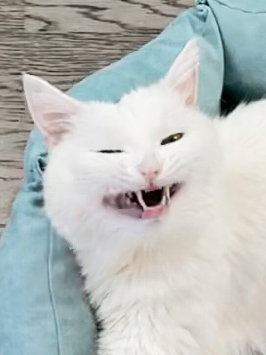 Когда подготовилась к перелету заранее