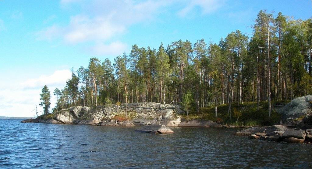Озеро Ковдозеро Карелия