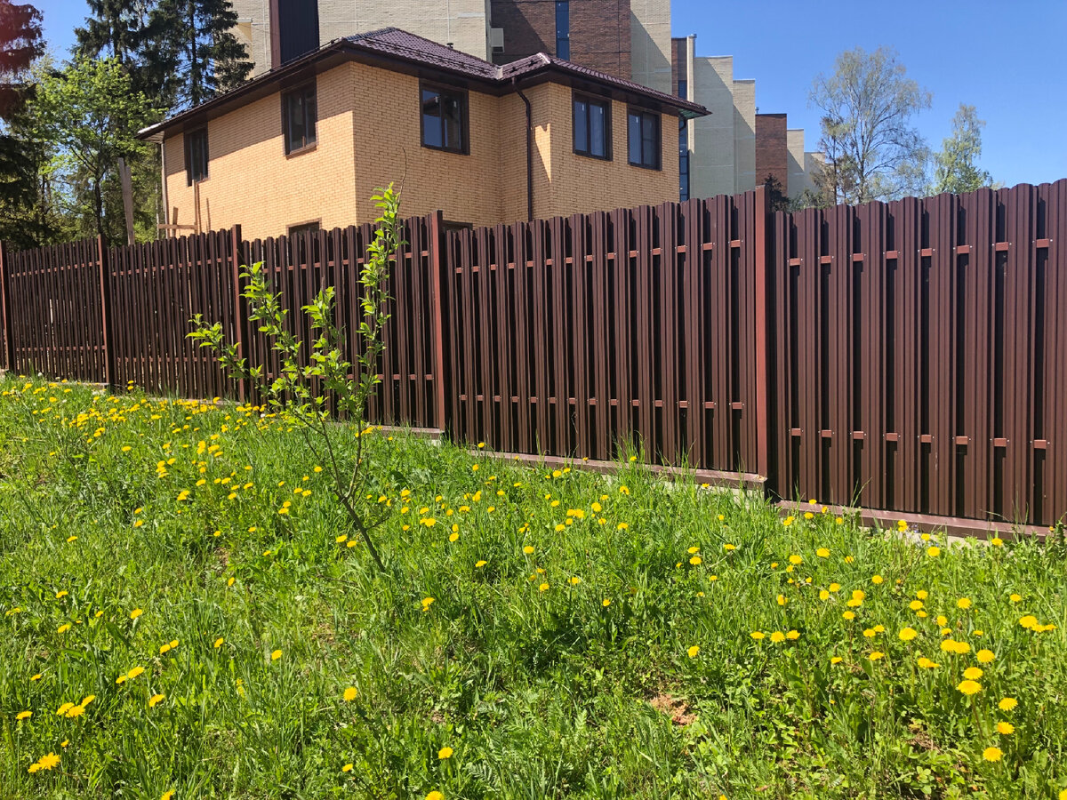 Наш дом 🏠 Добро пожаловать.Знакомство. | Дом и Цветущий Сад | Дзен