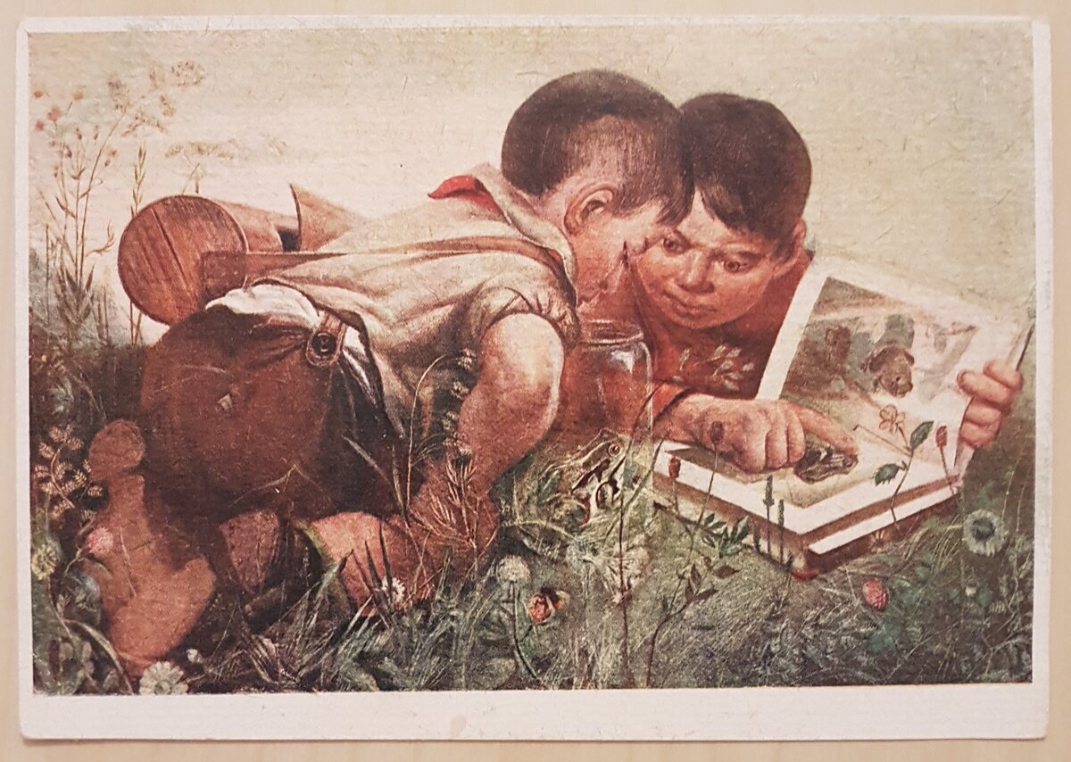 М. Черемных "Юные натуралисты" (30- е годы). 