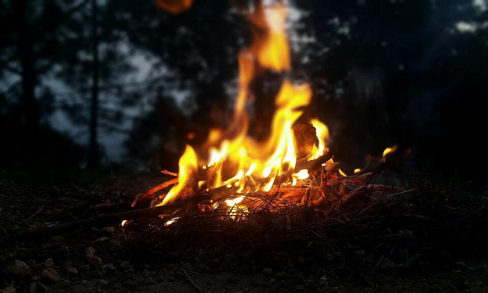 Фото с сайта pixabay.com