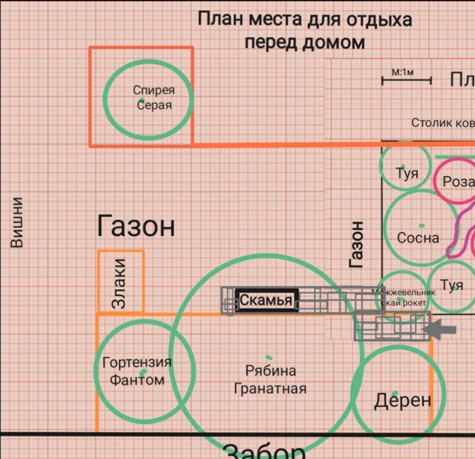 Самый лёгкий способ убрать сорняки навсегда. Не снимать дерн, не копать |  Ландшафтный дизайн для не-дизайнеров | Дзен