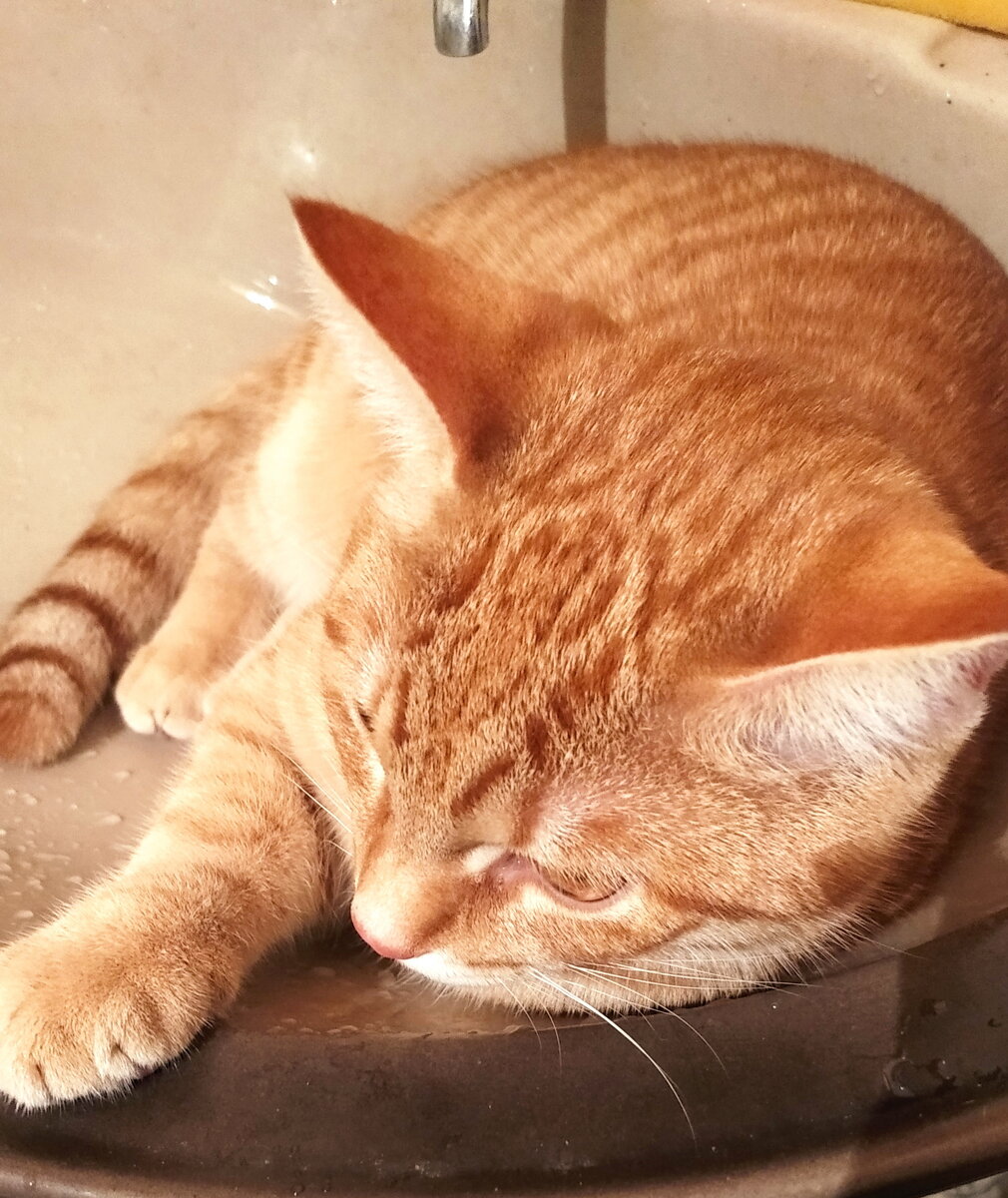 личное   фото.