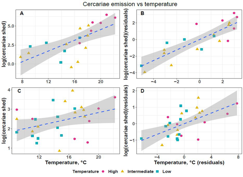 Зависимость среднего (для всех моллюсков, производивших церкарии в день наблюдения) числа произведенных церкарий от температуры для R. fennica (A, B) и R. campanula (C, D). Справа графики частной регрессии (added variable plot) с учетом сезонности. Обратите внимание на выпадающие значения в «подбрюшье» графика A. Это производство церкарий в осенние месяцы, когда при тех же температурах объем эмиссии был ниже. Добавление фактора сезонности (число дней с начала эксперимента) «выправляет» зависимость, и точки очень аккуратно ложатся на регрессионную прямую (график C). Для R. campanula (нижний ряд) ситуация схожа