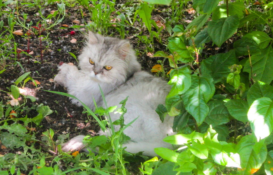 Все фотографии в публикации сделаны автором