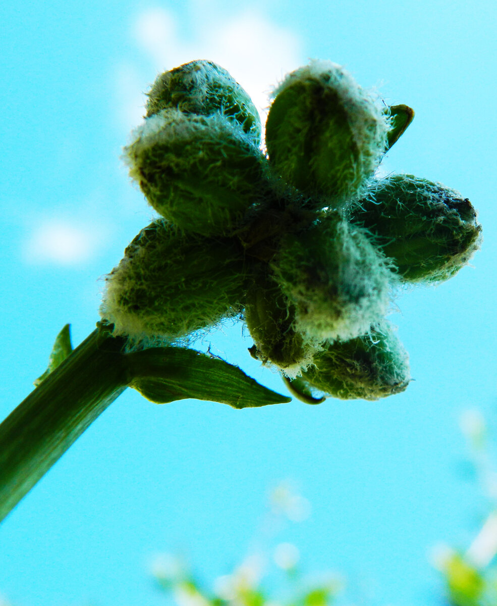 фото автора канала