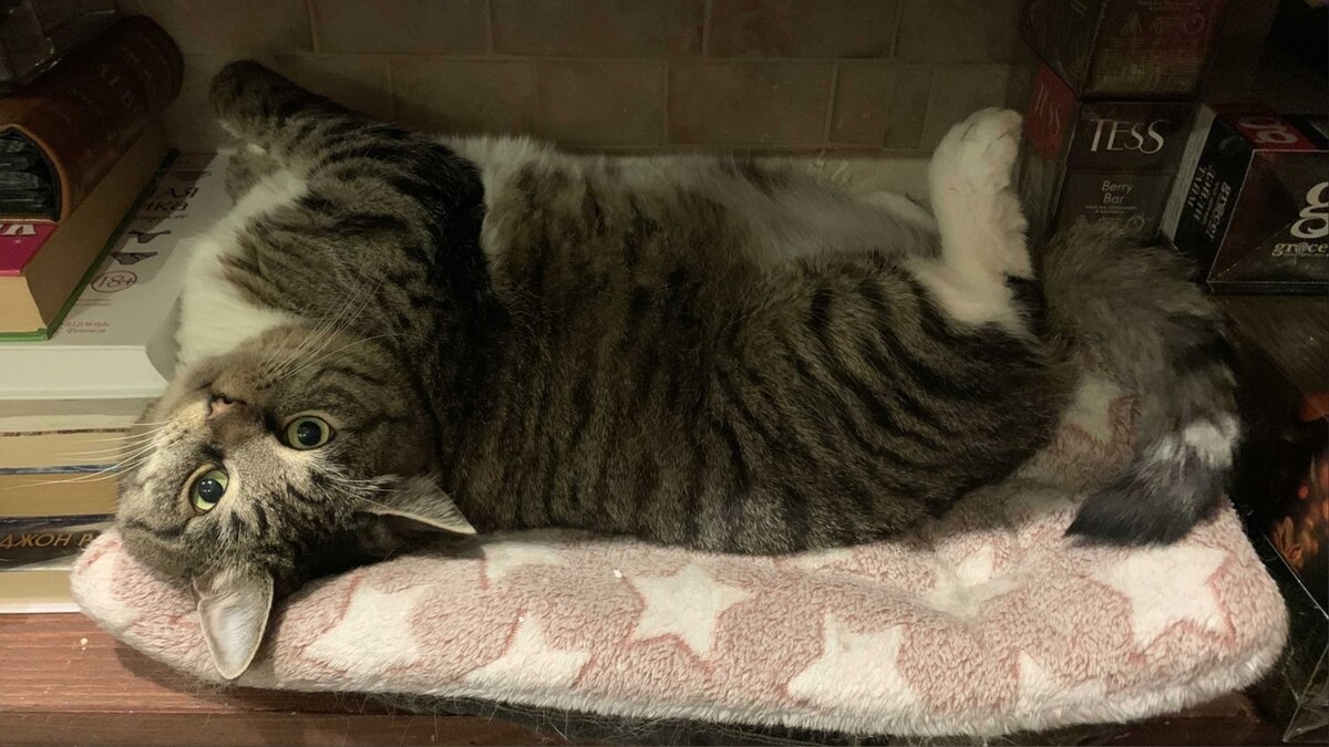 фото автора