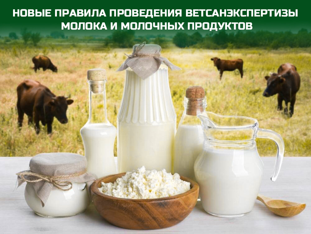Новые правила проведения ветсанэкспертизы молока и молочных продуктов
