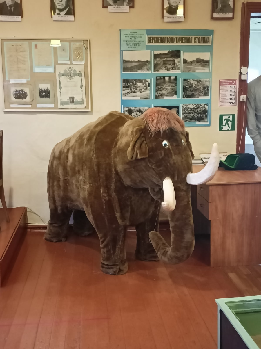 Подойти к двухсот пятому кабинету. Класс в школе. Подойти к двухсот пятому кабинету. Подойти к двухсот пятому кабинету. Кабинет информатики.